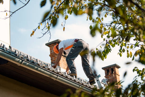 Best Roof Maintenance Services  in Breckenridge, MI