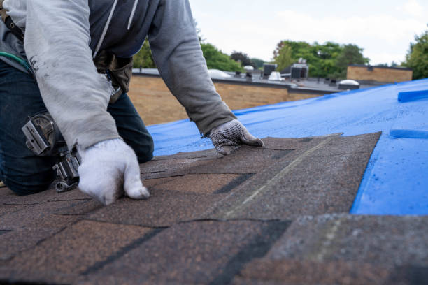 Best Sealant for Roof  in Breckenridge, MI