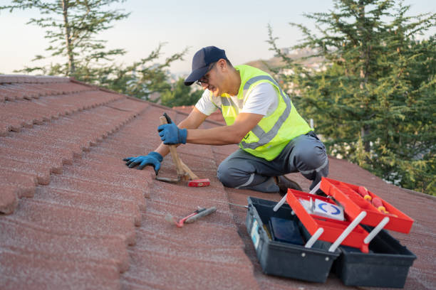 Best Slate Roofing Contractor  in Breckenridge, MI