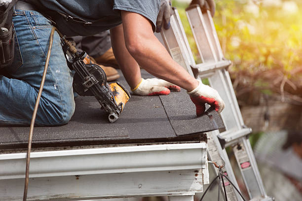 Best Roof Leak Repair  in Breckenridge, MI