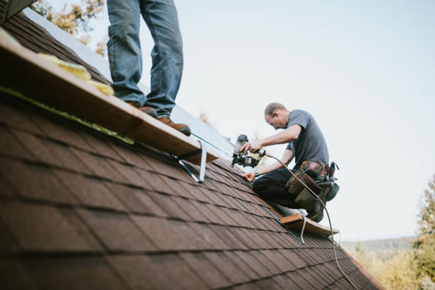 Best Best Roofing Contractors  in Breckenridge, MI
