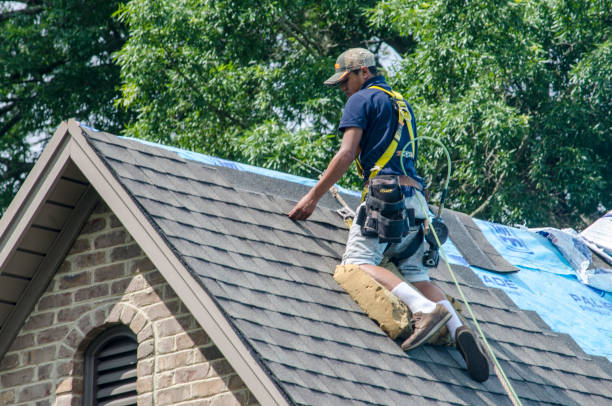 Best Roof Restoration Services  in Breckenridge, MI
